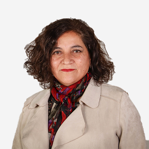 Carmen Gloria González C.