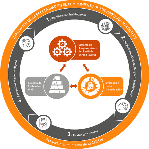 grafico efectividad funcional